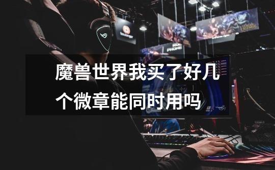 魔兽世界我买了好几个微章能同时用吗-第1张-游戏信息-龙启网