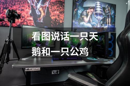 看图说话一只天鹅和一只公鸡-第1张-游戏信息-龙启网