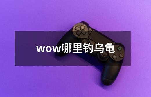 wow哪里钓乌龟-第1张-游戏信息-龙启网