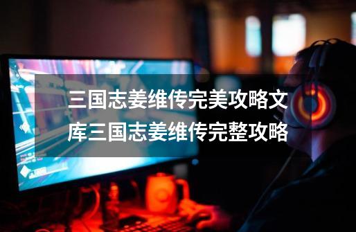 三国志姜维传完美攻略文库三国志姜维传完整攻略-第1张-游戏信息-龙启网