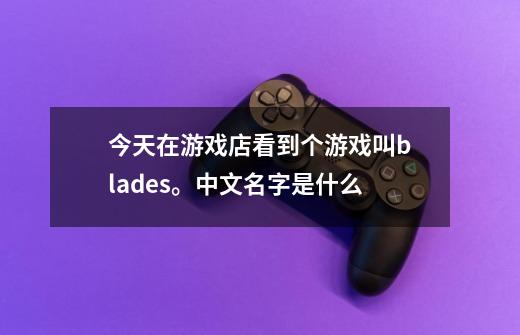 今天在游戏店看到个游戏叫blades。中文名字是什么-第1张-游戏信息-龙启网