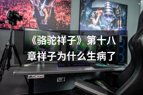 《骆驼祥子》第十八章祥子为什么生病了-第1张-游戏信息-龙启网
