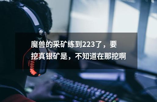 魔兽的采矿练到223了,要挖真银矿是,不知道在那挖啊-第1张-游戏信息-龙启网