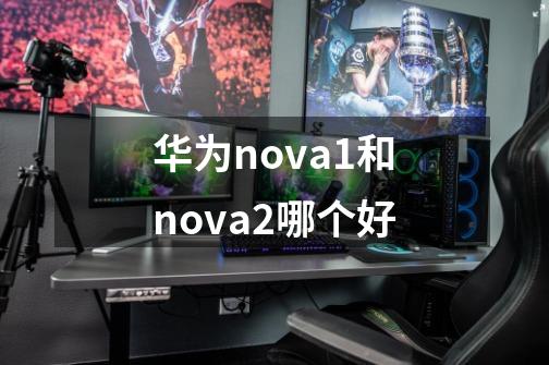 华为nova1和nova2哪个好-第1张-游戏信息-龙启网