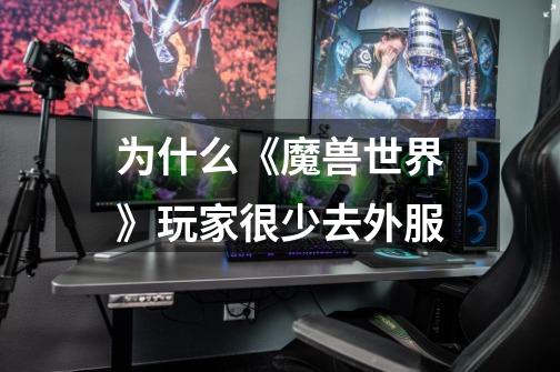 为什么《魔兽世界》玩家很少去外服-第1张-游戏信息-龙启网