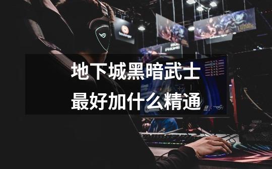 地下城黑暗武士最好加什么精通-第1张-游戏信息-龙启网