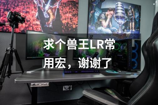 求个兽王LR常用宏,谢谢了-第1张-游戏信息-龙启网