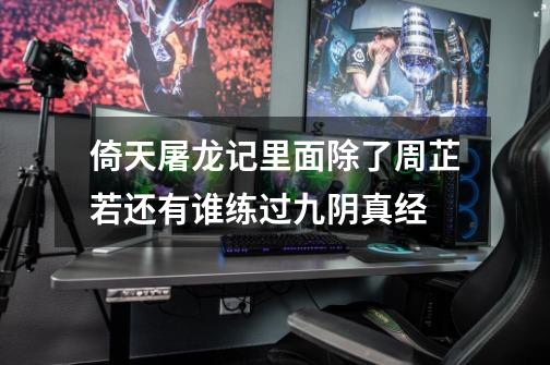 倚天屠龙记里面除了周芷若还有谁练过九阴真经-第1张-游戏信息-龙启网