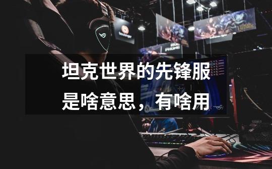 坦克世界的先锋服是啥意思,有啥用-第1张-游戏信息-龙启网