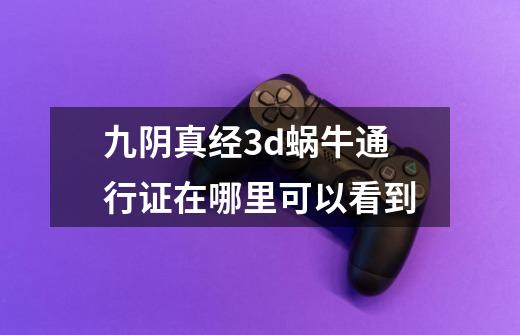 九阴真经3d蜗牛通行证在哪里可以看到-第1张-游戏信息-龙启网