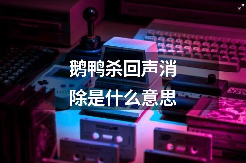 鹅鸭杀回声消除是什么意思-第1张-游戏信息-龙启网