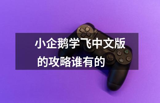 小企鹅学飞中文版 的攻略谁有的-第1张-游戏信息-龙启网