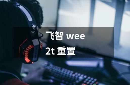飞智 wee2t 重置-第1张-游戏信息-龙启网