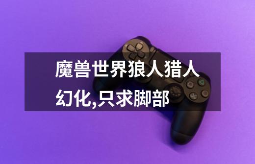 魔兽世界狼人猎人幻化,只求脚部-第1张-游戏信息-龙启网