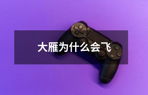大雁为什么会飞-第1张-游戏信息-龙启网