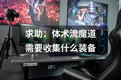 求助:体术流魔道需要收集什么装备-第1张-游戏信息-龙启网