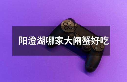 阳澄湖哪家大闸蟹好吃-第1张-游戏信息-龙启网