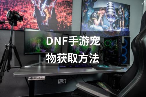 DNF手游宠物获取方法-第1张-游戏信息-龙启网