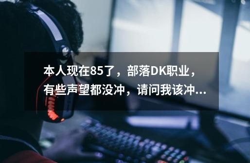 本人现在85了,部落DK职业,有些声望都没冲,请问我该冲那些声望,。-第1张-游戏信息-龙启网
