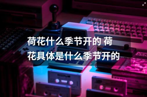 荷花什么季节开的 荷花具体是什么季节开的-第1张-游戏信息-龙启网