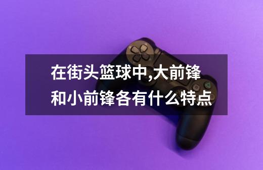 在街头篮球中,大前锋和小前锋各有什么特点-第1张-游戏信息-龙启网