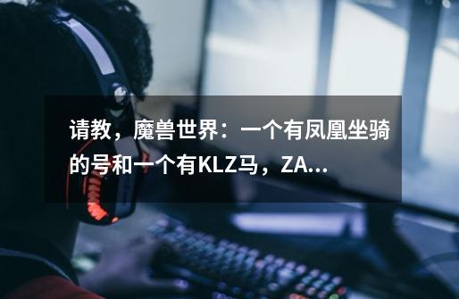 请教,魔兽世界:一个有凤凰坐骑的号和一个有KLZ马,ZAM熊,主蛋刀,风剑的号相比,现在要那个比较好-第1张-游戏信息-龙启网