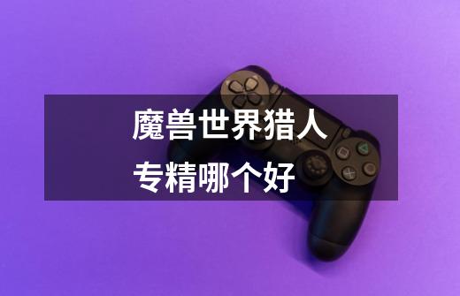 魔兽世界猎人专精哪个好-第1张-游戏信息-龙启网