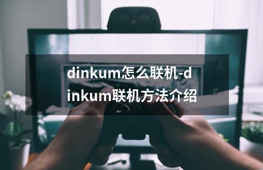 dinkum怎么联机-dinkum联机方法介绍-第1张-游戏信息-龙启网