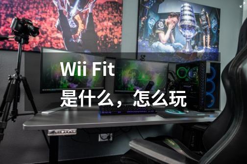 Wii Fit是什么,怎么玩-第1张-游戏信息-龙启网