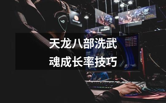 天龙八部洗武魂成长率技巧-第1张-游戏信息-龙启网