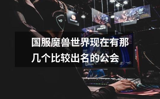 国服魔兽世界现在有那几个比较出名的公会-第1张-游戏信息-龙启网