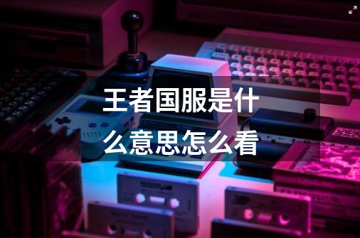 王者国服是什么意思怎么看-第1张-游戏信息-龙启网