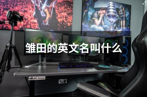 雏田的英文名叫什么-第1张-游戏信息-龙启网
