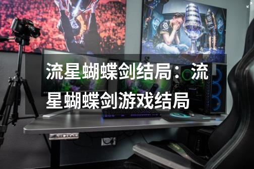 流星蝴蝶剑结局:流星蝴蝶剑游戏结局-第1张-游戏信息-龙启网