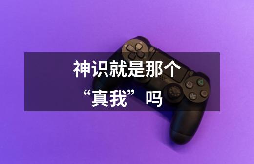 神识就是那个“真我”吗-第1张-游戏信息-龙启网