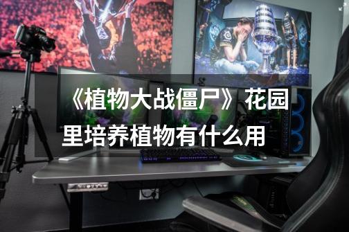 《植物大战僵尸》花园里培养植物有什么用-第1张-游戏信息-龙启网