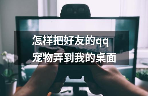 怎样把好友的qq宠物弄到我的桌面-第1张-游戏信息-龙启网