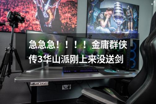 急急急!!!!金庸群侠传3华山派刚上来没送剑-第1张-游戏信息-龙启网