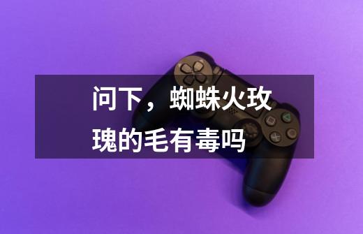 问下，蜘蛛火玫瑰的毛有毒吗-第1张-游戏信息-龙启网