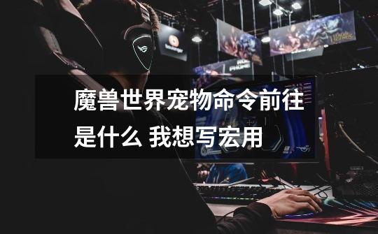 魔兽世界宠物命令前往是什么 我想写宏用-第1张-游戏信息-龙启网