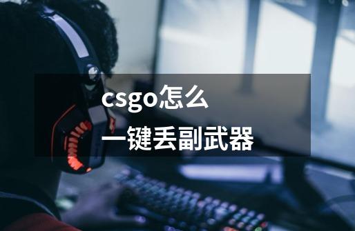 csgo怎么一键丢副武器-第1张-游戏信息-龙启网