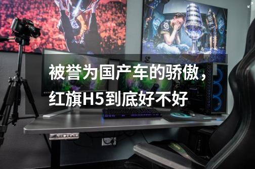 被誉为国产车的骄傲,红旗H5到底好不好-第1张-游戏信息-龙启网