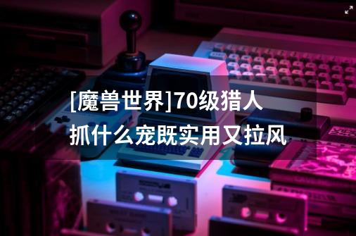 [魔兽世界]70级猎人抓什么宠既实用又拉风-第1张-游戏信息-龙启网
