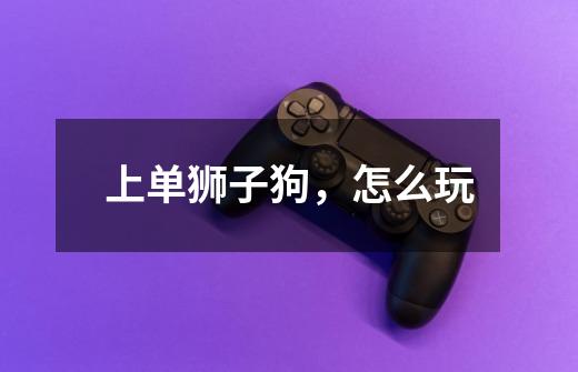 上单狮子狗,怎么玩-第1张-游戏信息-龙启网