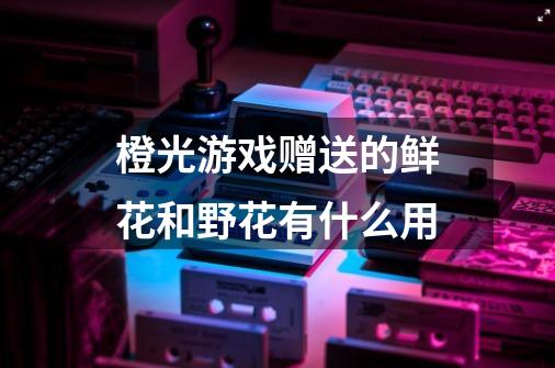 橙光游戏赠送的鲜花和野花有什么用-第1张-游戏信息-龙启网
