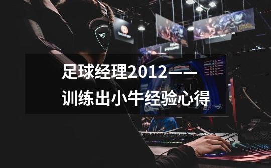 足球经理2012——训练出小牛经验心得-第1张-游戏信息-龙启网