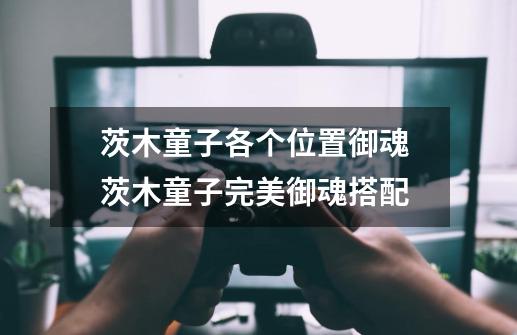 茨木童子各个位置御魂 茨木童子完美御魂搭配-第1张-游戏信息-龙启网