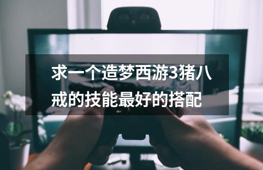 求一个造梦西游3猪八戒的技能最好的搭配-第1张-游戏信息-龙启网