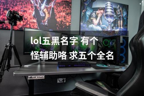 lol五黑名字 有个怪辅助咯 求五个全名-第1张-游戏信息-龙启网