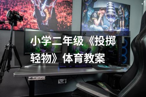 小学二年级《投掷轻物》体育教案-第1张-游戏信息-龙启网